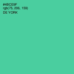 #4BCE9F - De York Color Image