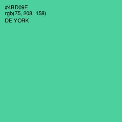 #4BD09E - De York Color Image