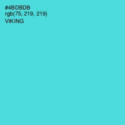 #4BDBDB - Viking Color Image