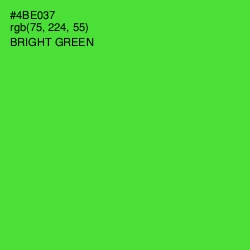 #4BE037 - Bright Green Color Image