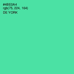 #4BE0A4 - De York Color Image