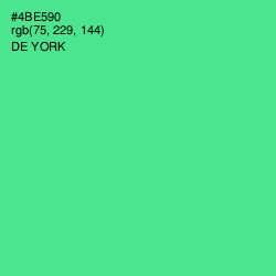 #4BE590 - De York Color Image