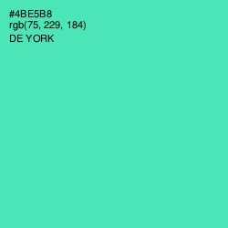#4BE5B8 - De York Color Image