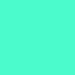 #4BFBCB - Aquamarine Color Image