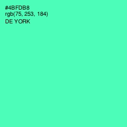 #4BFDB8 - De York Color Image