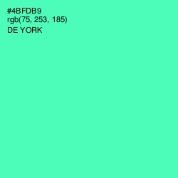 #4BFDB9 - De York Color Image