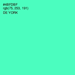 #4BFDBF - De York Color Image