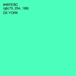 #4BFEBC - De York Color Image