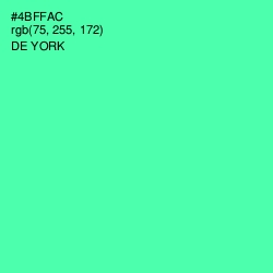 #4BFFAC - De York Color Image