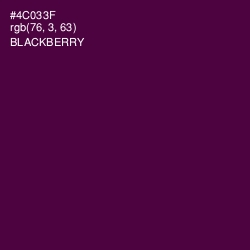 #4C033F - Blackberry Color Image