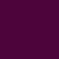 #4C043B - Blackberry Color Image