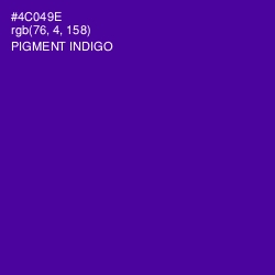 #4C049E - Pigment Indigo Color Image