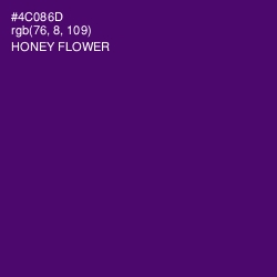 #4C086D - Honey Flower Color Image