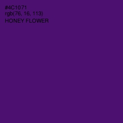 #4C1071 - Honey Flower Color Image