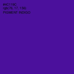 #4C119C - Pigment Indigo Color Image