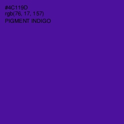 #4C119D - Pigment Indigo Color Image