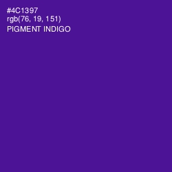 #4C1397 - Pigment Indigo Color Image