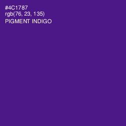 #4C1787 - Pigment Indigo Color Image