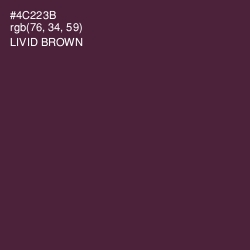 #4C223B - Livid Brown Color Image