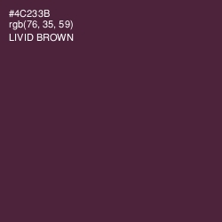 #4C233B - Livid Brown Color Image