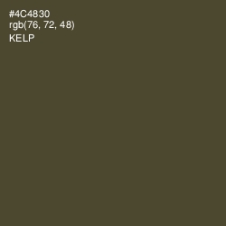 #4C4830 - Kelp Color Image