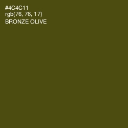 #4C4C11 - Bronze Olive Color Image