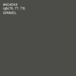 #4C4D49 - Gravel Color Image