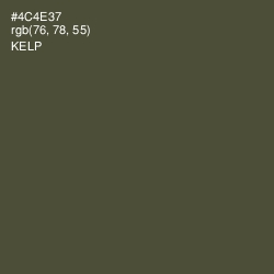 #4C4E37 - Kelp Color Image