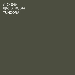 #4C4E40 - Tundora Color Image