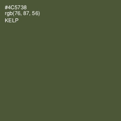 #4C5738 - Kelp Color Image