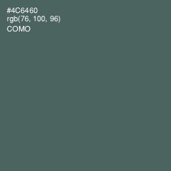 #4C6460 - Como Color Image