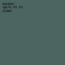 #4C6561 - Como Color Image