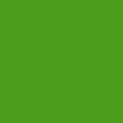 #4C9C1D - Vida Loca Color Image