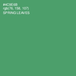 #4C9E6B - Spring Leaves Color Image