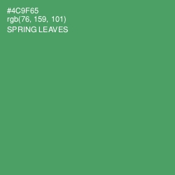 #4C9F65 - Spring Leaves Color Image