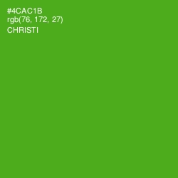 #4CAC1B - Christi Color Image