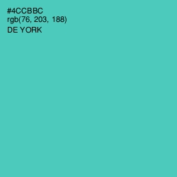 #4CCBBC - De York Color Image