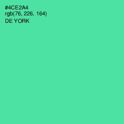 #4CE2A4 - De York Color Image