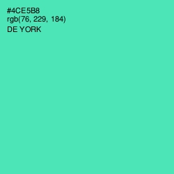 #4CE5B8 - De York Color Image