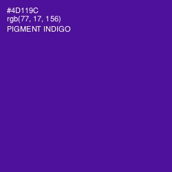 #4D119C - Pigment Indigo Color Image