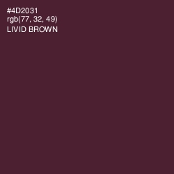 #4D2031 - Livid Brown Color Image