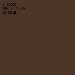 #4D3527 - Saddle Color Image