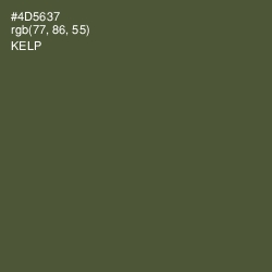 #4D5637 - Kelp Color Image