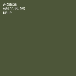 #4D5638 - Kelp Color Image