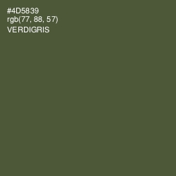 #4D5839 - Verdigris Color Image