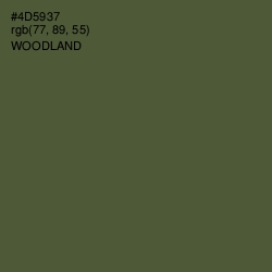 #4D5937 - Woodland Color Image