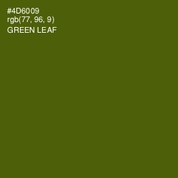 #4D6009 - Green Leaf Color Image