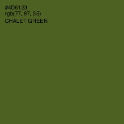 #4D6123 - Chalet Green Color Image