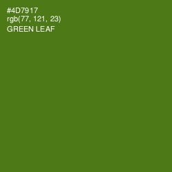 #4D7917 - Green Leaf Color Image