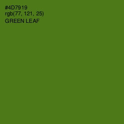 #4D7919 - Green Leaf Color Image